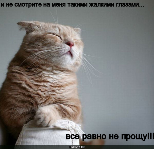 не прощу!