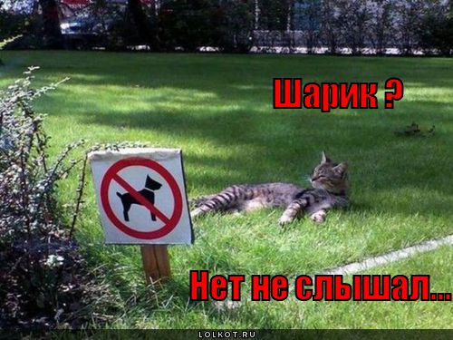 не слышал