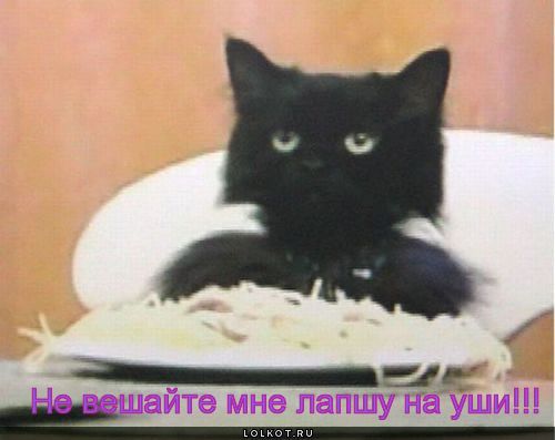 не вешайте лапшу