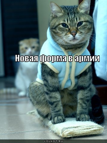 новая форма в армии