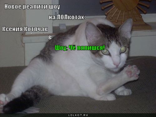 новое реалити шоу
