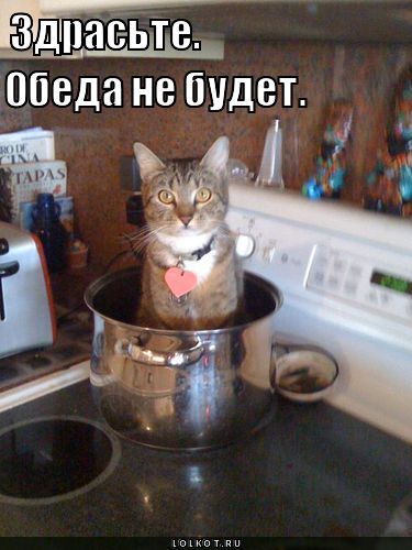 обеда не будет
