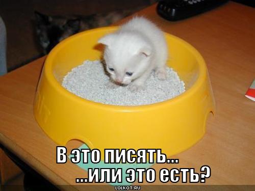 писять или есть?