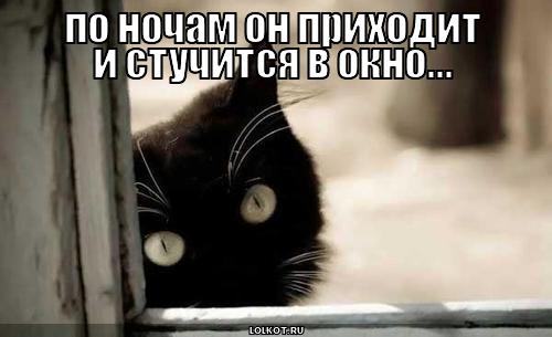по ночам он приходит
