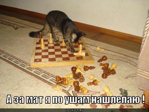 по ушам нашлепаю!