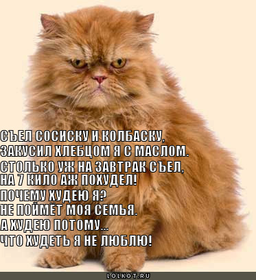 почему худею я?