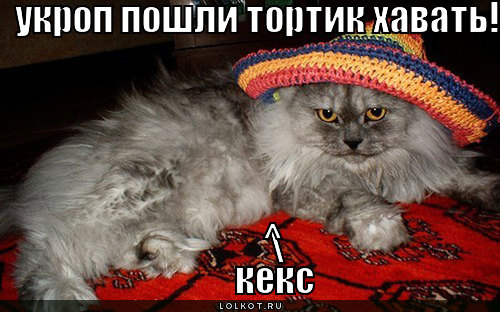 пошли тортик хавать!
