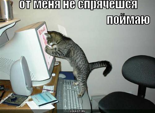 поймаю