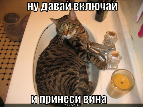 принеси вина