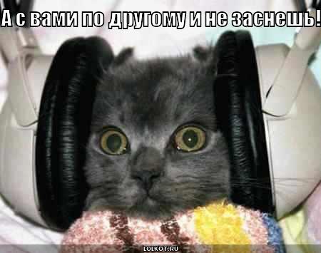 с вами не заснешь!