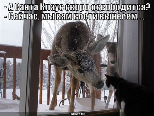 санта клаус