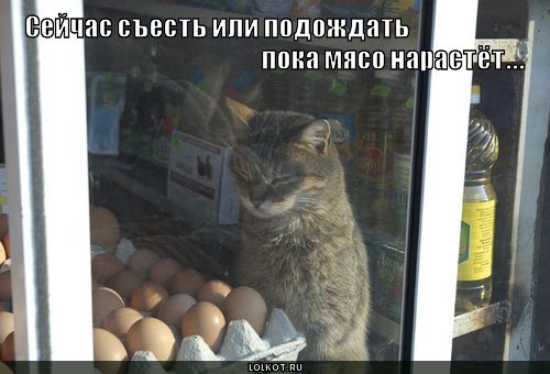 съесть или подождать