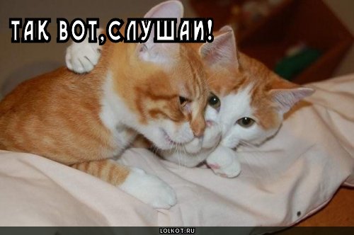 слушай!