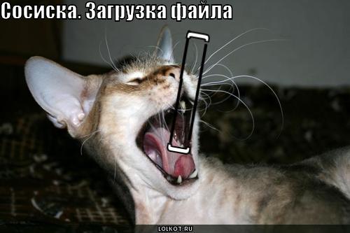 сосиска