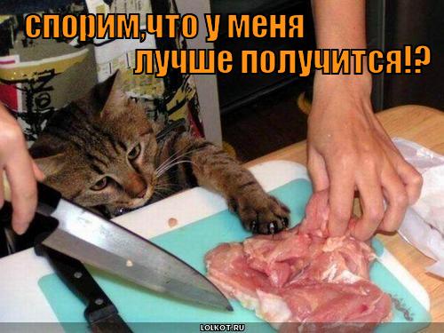 спорим
