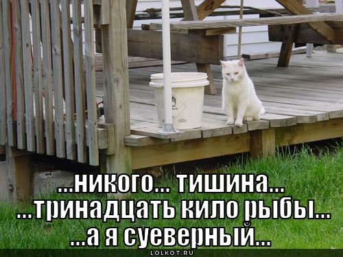 суеверный