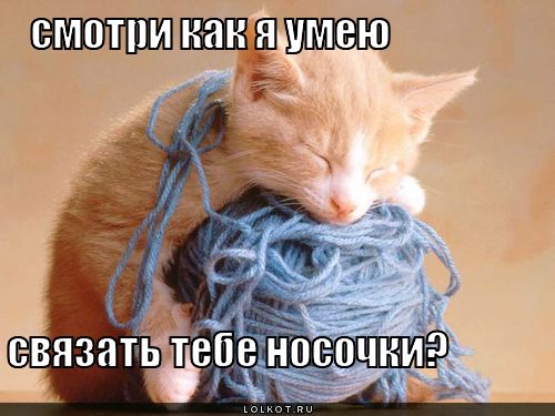 связать носочки?
