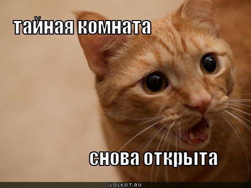 тайная комната