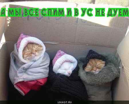 в ус не дуем