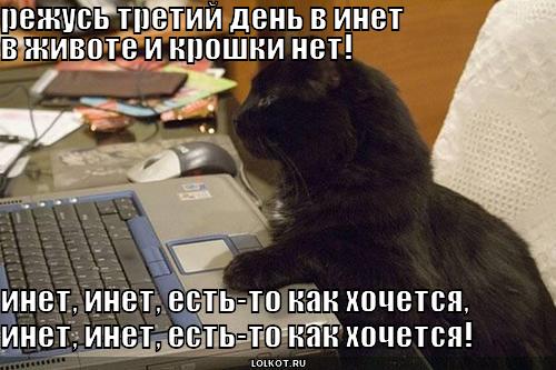 в животе и крошки нет!