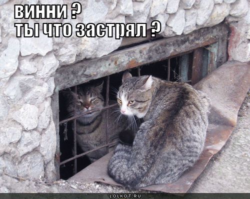винни застрял 