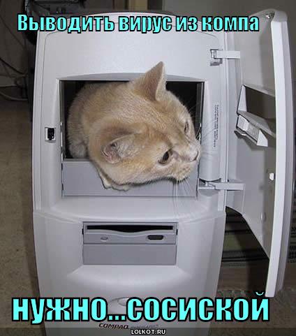 вирус из компа