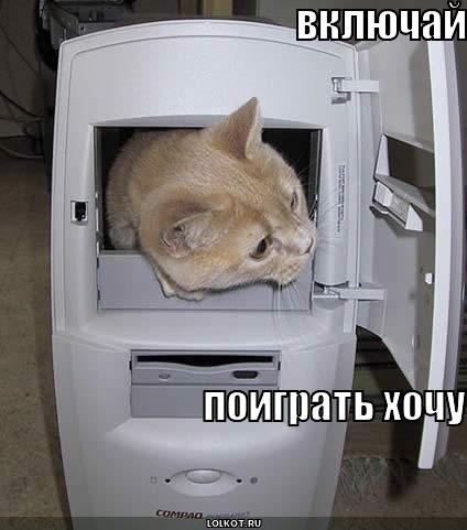 включай