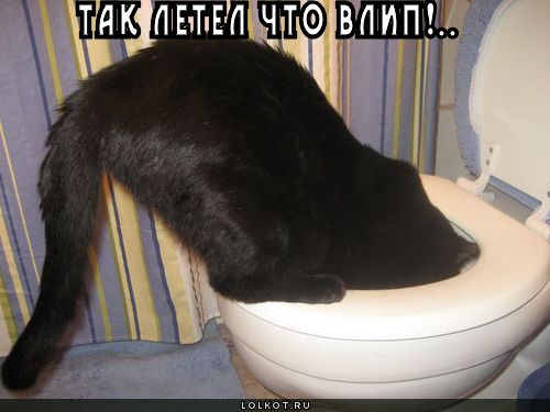 влип