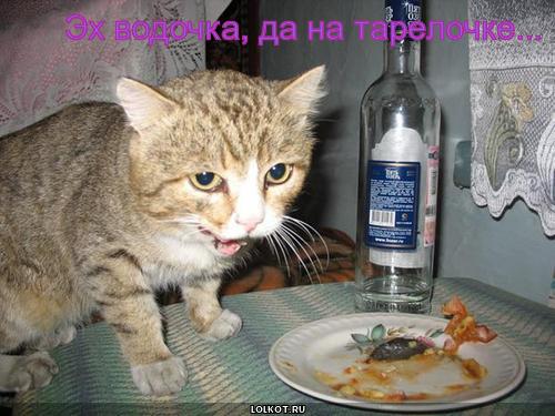 водочка на тарелочке