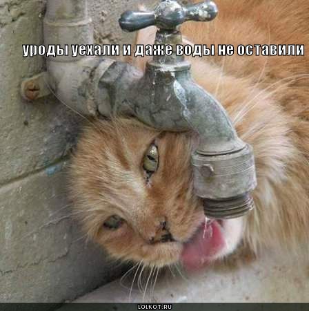 воды не оставили