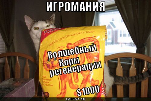 волшебный корм