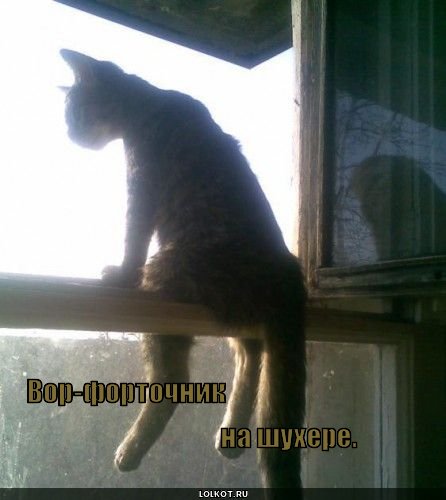 вор-форточник