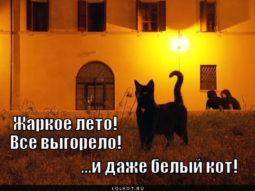 все выгорело