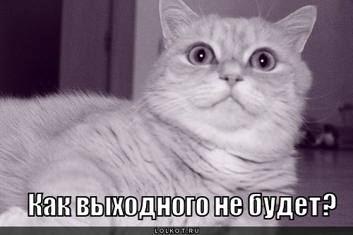 выходного не будет?