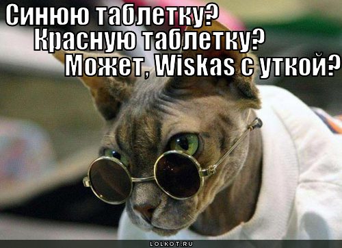 wiskas с уткой