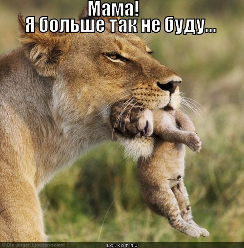 я больше не буду