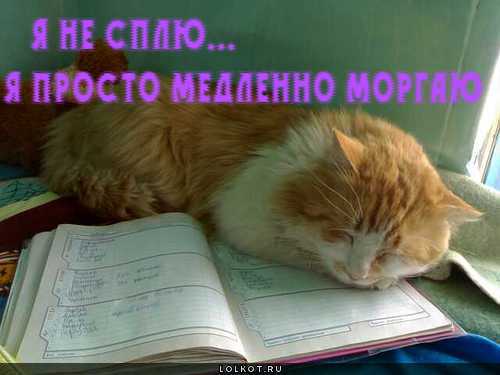 я медленно моргаю