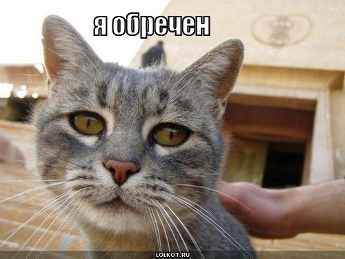 я обречен
