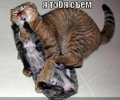 я тэбя съем