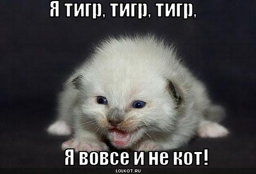 я тигр