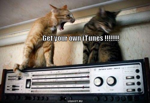your itunes