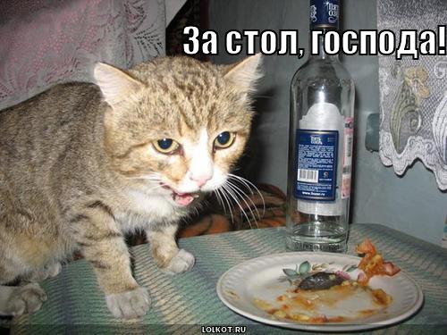 за стол, господа!