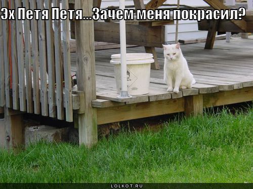 зачем покрасил?