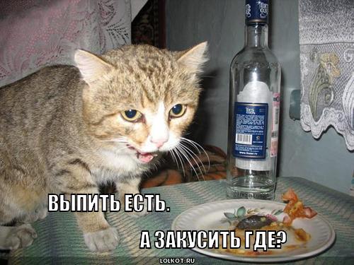 закусить где?
