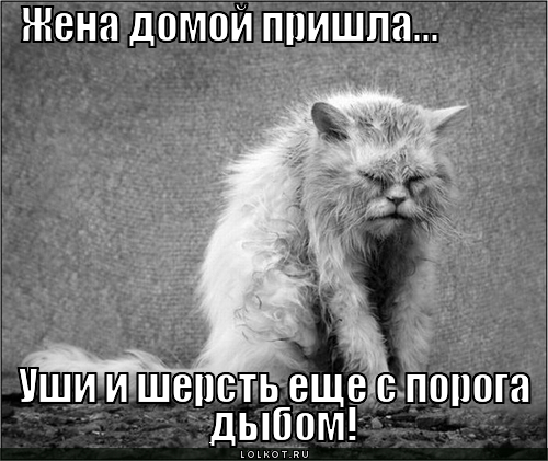 жена пришла
