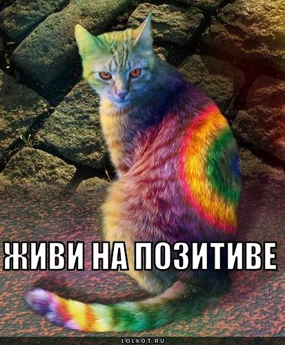живи на позитиве