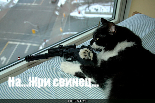 жри свинец
