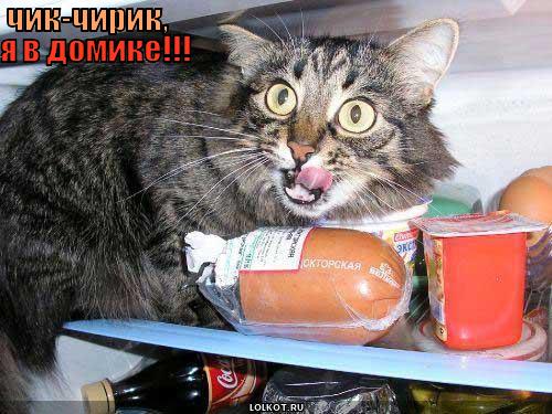 А я в домике!!!