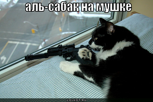 аль-сабак на мушке
