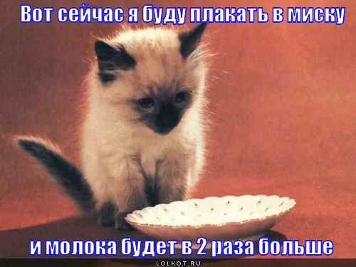 буду плакать